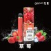 GIPPRO 1600 BLOKO 霧化棒 一次性電子煙 (可吸1600口) (無現貨，接批量定制)