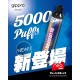 Gippro MAX+ (5000Puffs)